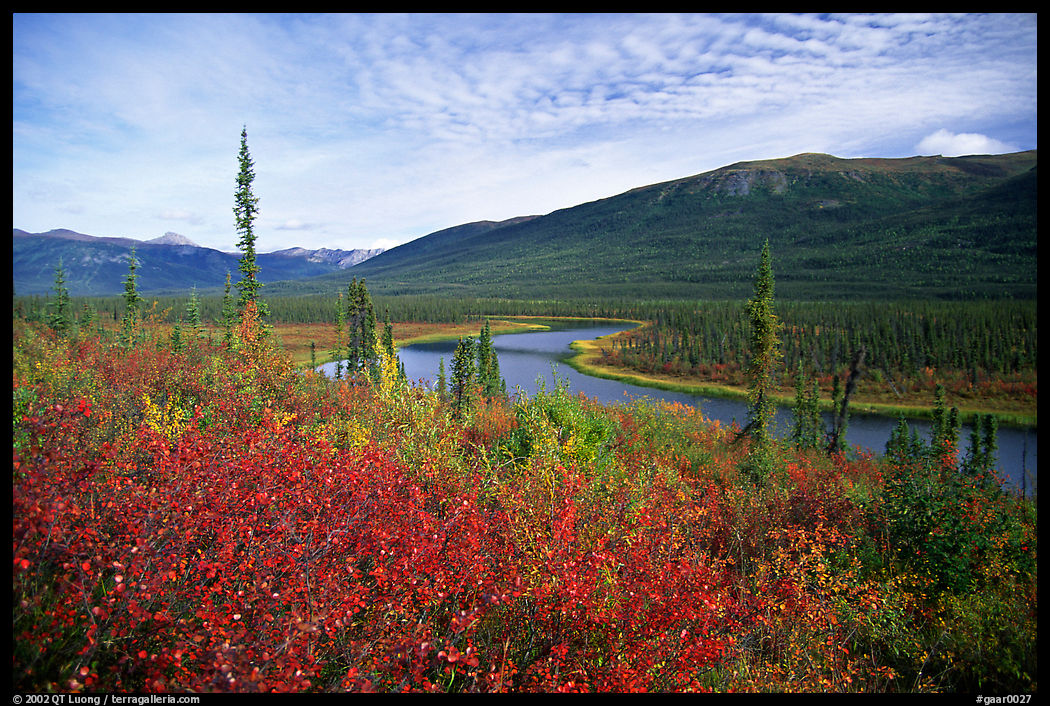 Alatna River valley near Circle Lake. Gates of the Arctic National Park, Alaska, USA.