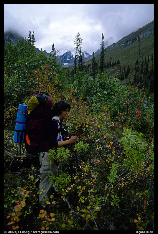 Backpacker in Arrigetch Creek. Gates of the Arctic National Park, Alaska