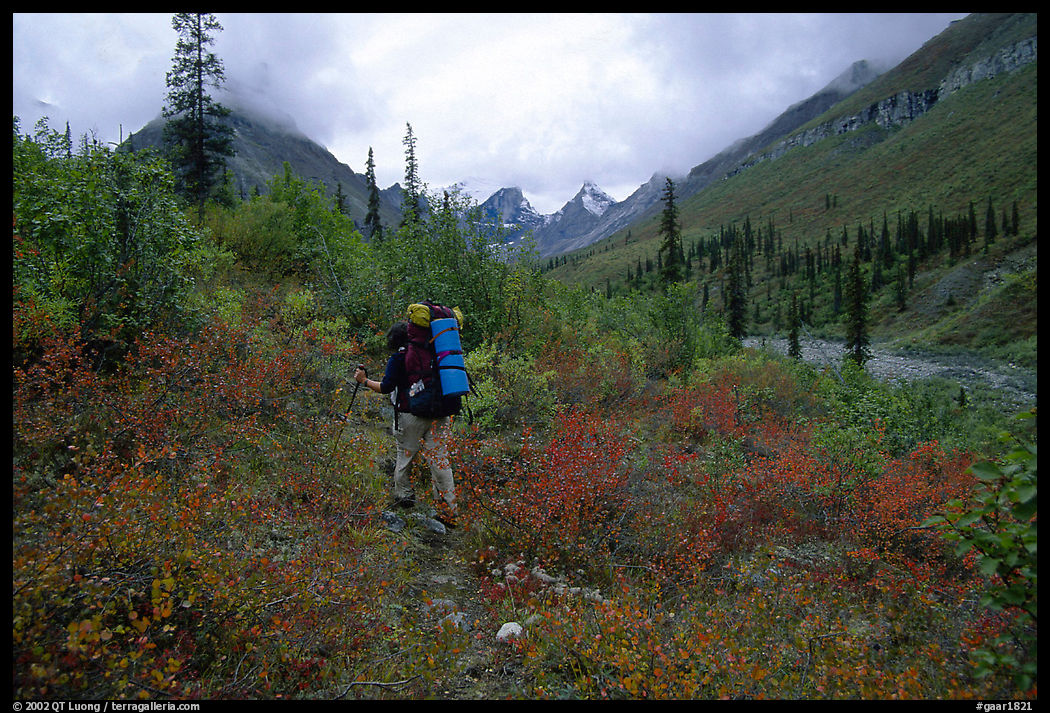 Backpacker in Arrigetch Creek. Gates of the Arctic National Park, Alaska