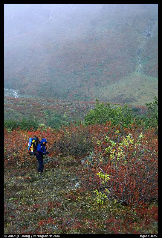 Backpacker in Arrigetch Valley. Gates of the Arctic National Park, Alaska