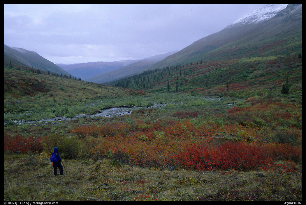 Backpacker in Arrigetch Valley. Gates of the Arctic National Park, Alaska