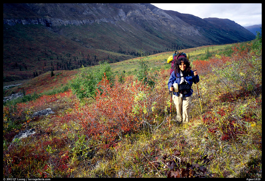 Backpacker in Arrigetch Creek. Gates of the Arctic National Park, Alaska