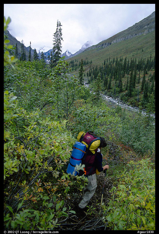 Backpacker in Arrigetch Creek. Gates of the Arctic National Park, Alaska