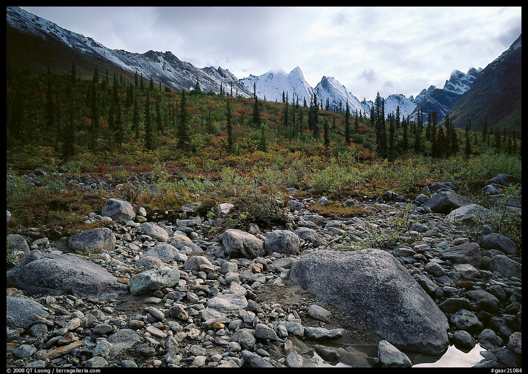 Arrigetch Creek and Peaks. Gates of the Arctic National Park, Alaska, USA.