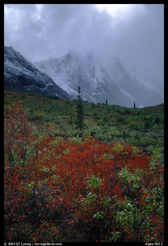 Tundra and Arrigetch Peaks in fog. Gates of the Arctic National Park