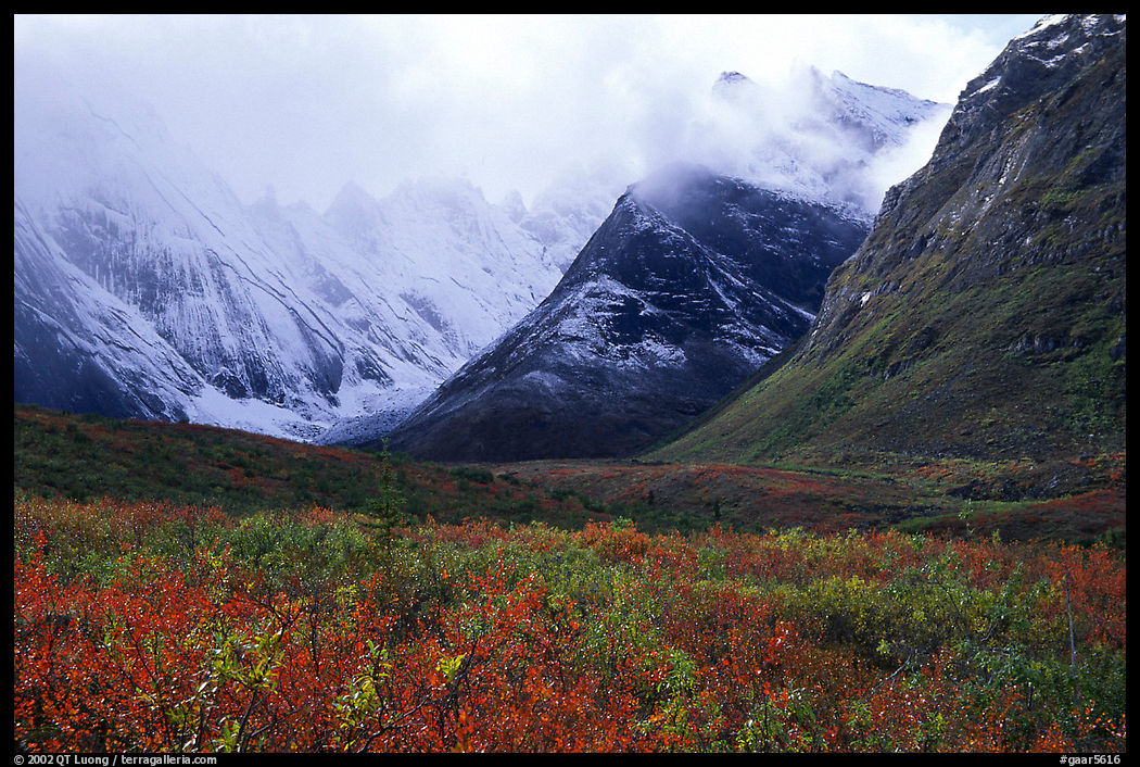 Tundra and Arrigetch Peaks partly hidden by clouds. Gates of the Arctic National Park, Alaska, USA.