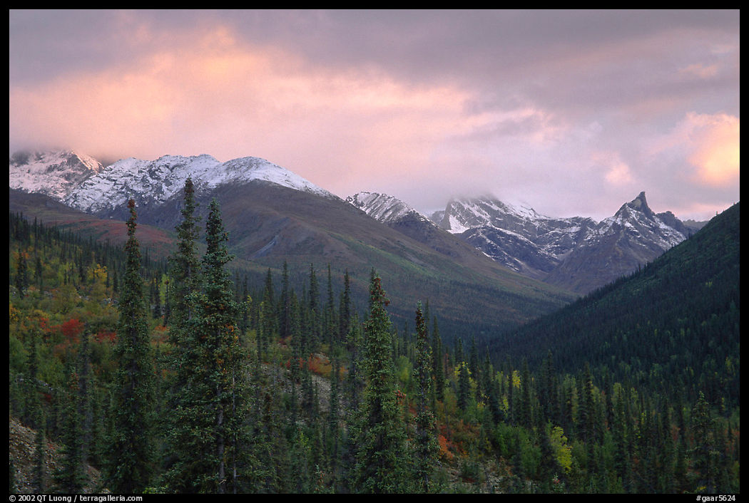 Arrigetch Peaks from Arrigetch Creek entrance at sunset. Gates of the Arctic National Park, Alaska, USA.