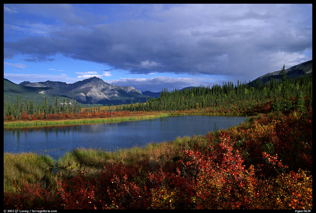 Alatna River valley near Circle Lake, evening. Gates of the Arctic National Park, Alaska, USA.