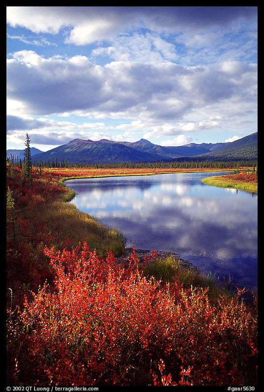 Alatna River valley near Circle Lake, evening. Gates of the Arctic National Park, Alaska, USA.