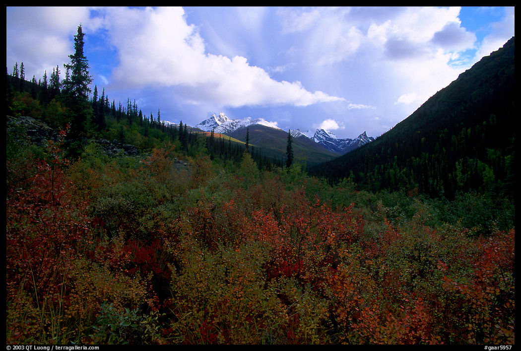 Distant Arrigetch Peaks seen from Arrigetch Creek. Gates of the Arctic National Park, Alaska, USA.