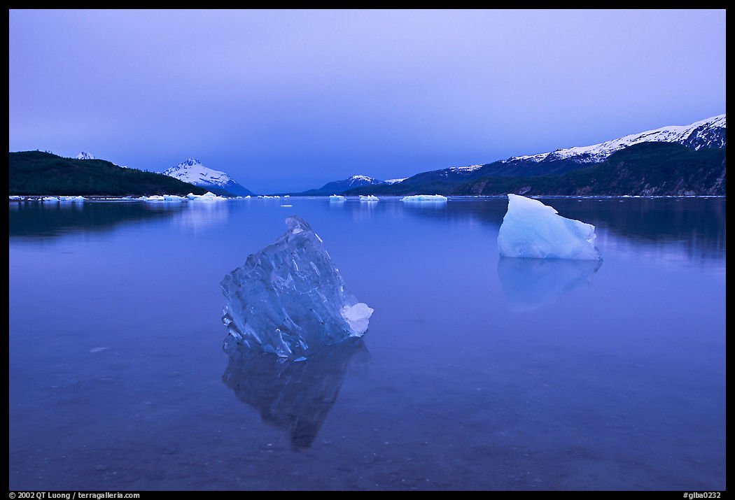 Translucent iceberg near Mc Bride glacier, Muir inlet. Glacier Bay National Park, Alaska, USA.