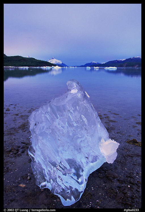 Translucent Iceberg near Mc Bride glacier, Muir inlet. Glacier Bay National Park, Alaska, USA.
