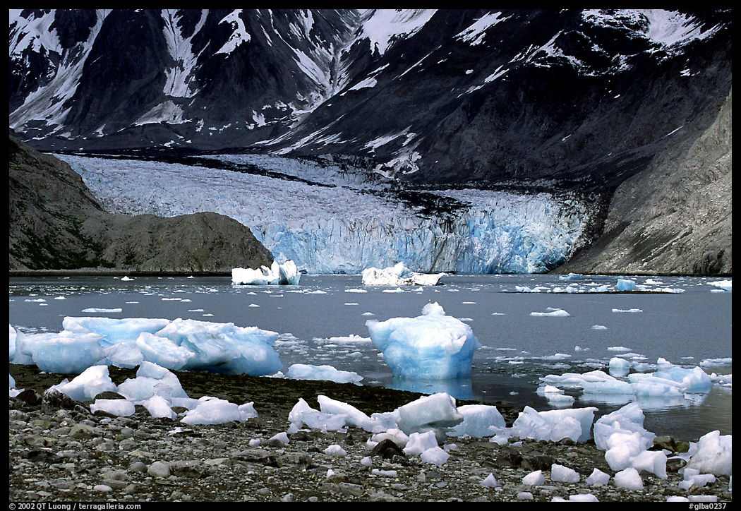 Mc Bride glacier, Muir inlet. Glacier Bay National Park, Alaska, USA.