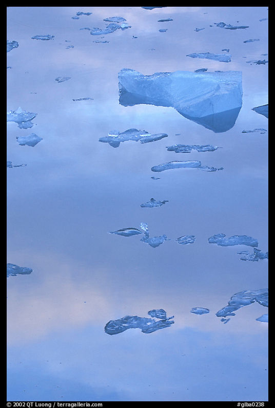 Reflexions in Mc Bride inlet. Glacier Bay National Park, Alaska, USA.