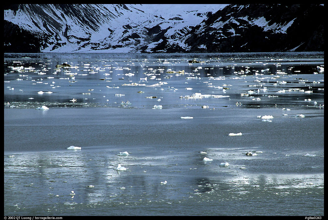 Icebergs and reflexions, West arm. Glacier Bay National Park, Alaska, USA.