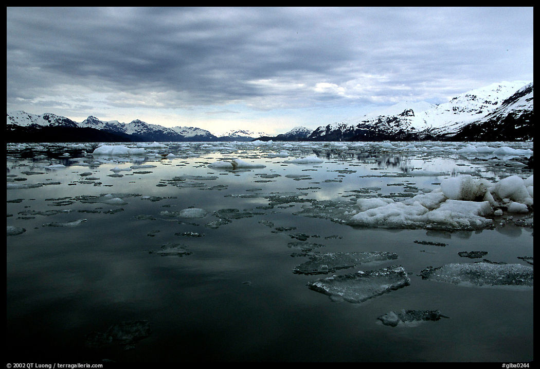 Ice-choked waters, West arm. Glacier Bay National Park, Alaska, USA.