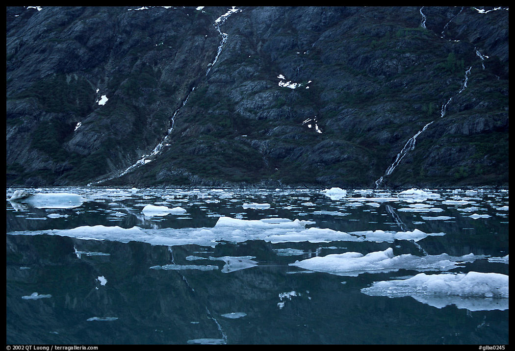 Icebergs and waterfalls, West arm. Glacier Bay National Park, Alaska, USA.