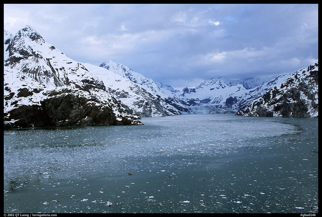 John Hopkins inlet with floating ice in late May. Glacier Bay National Park, Alaska, USA.