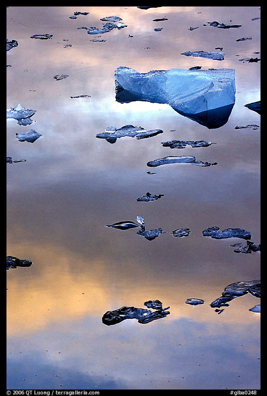 Ice and sunset reflexions, Mc Bride inlet. Glacier Bay National Park, Alaska, USA.