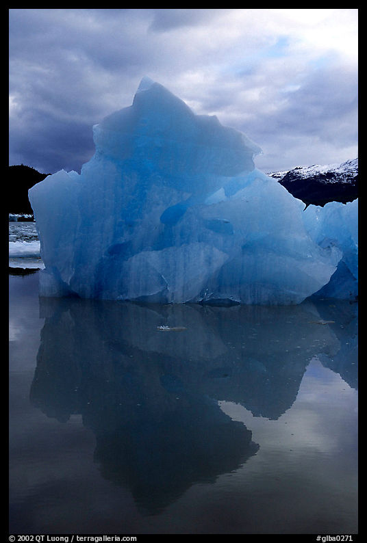 Blue iceberg, Mc Bride inlet. Glacier Bay National Park, Alaska, USA.