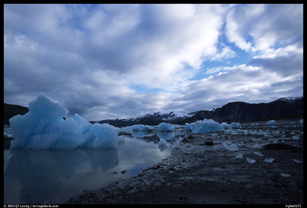 Iceberg, Mc Bride inlet. Glacier Bay National Park, Alaska, USA.