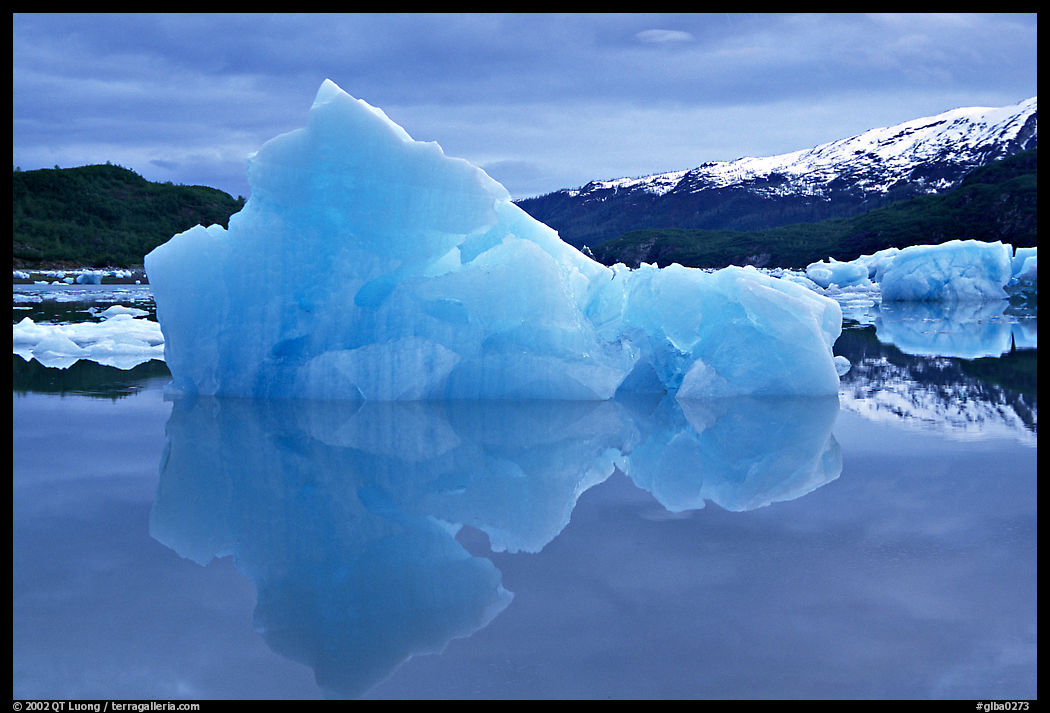 Blue iceberg, Mc Bride inlet. Glacier Bay National Park, Alaska, USA.