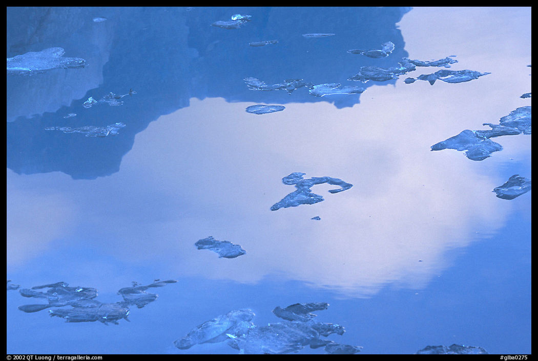 Ice and reflexions, Mc Bride inlet. Glacier Bay National Park, Alaska, USA.