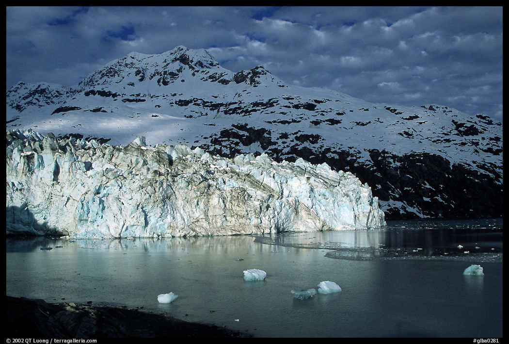 Lamplugh tidewater glacier and Mt Cooper. Glacier Bay National Park, Alaska, USA.