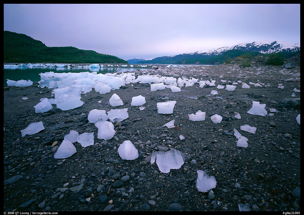 Icebergs near Mc Bride glacier, Muir inlet. Glacier Bay National Park