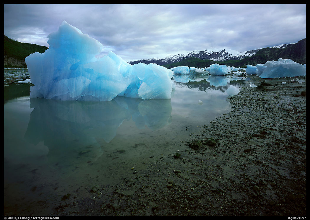 Blue icebergs beached near Mc Bride Glacier. Glacier Bay National Park, Alaska, USA.