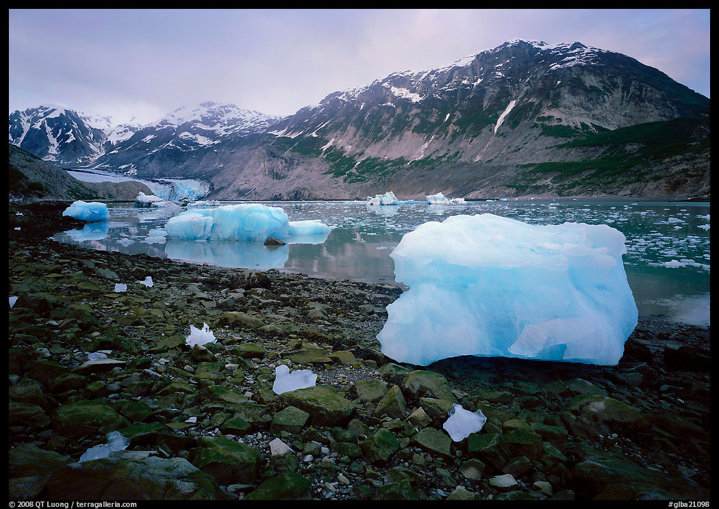 Icebergs and algae-covered rocks, Mc Bride inlet. Glacier Bay National Park, Alaska, USA.