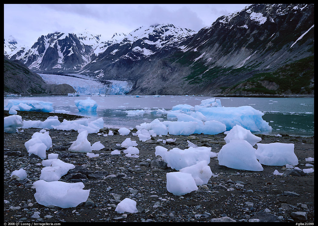 Beached icebergs and McBride Glacier. Glacier Bay National Park, Alaska, USA.