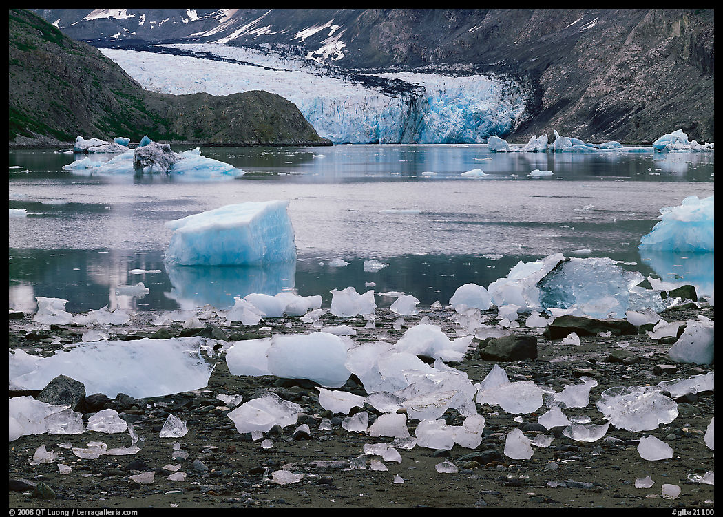Icebergs, McBride Inlet, and McBride Glacier. Glacier Bay National Park, Alaska, USA.