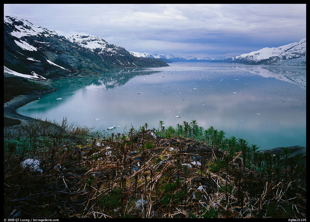 West arm seen from the entrance of John Hopkins inlet. Glacier Bay National Park