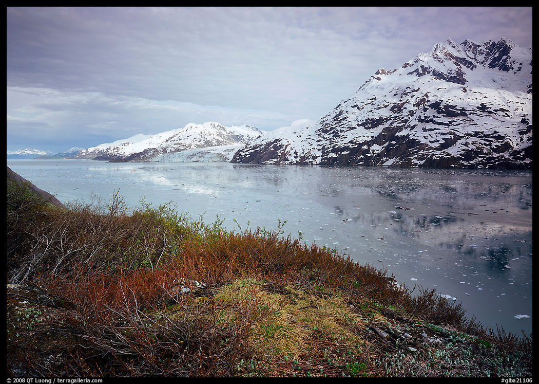 Snowy mountains and icy fjord seen from high point, West Arm. Glacier Bay National Park, Alaska, USA.