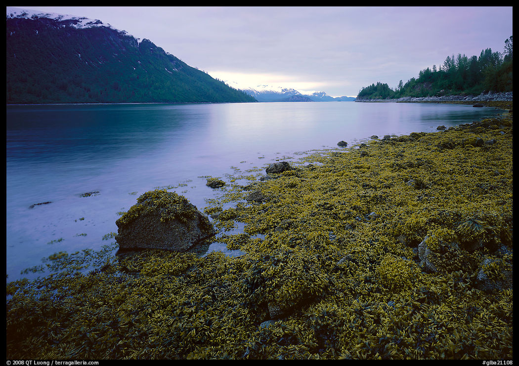 Charpentier inlet. Glacier Bay National Park, Alaska, USA.