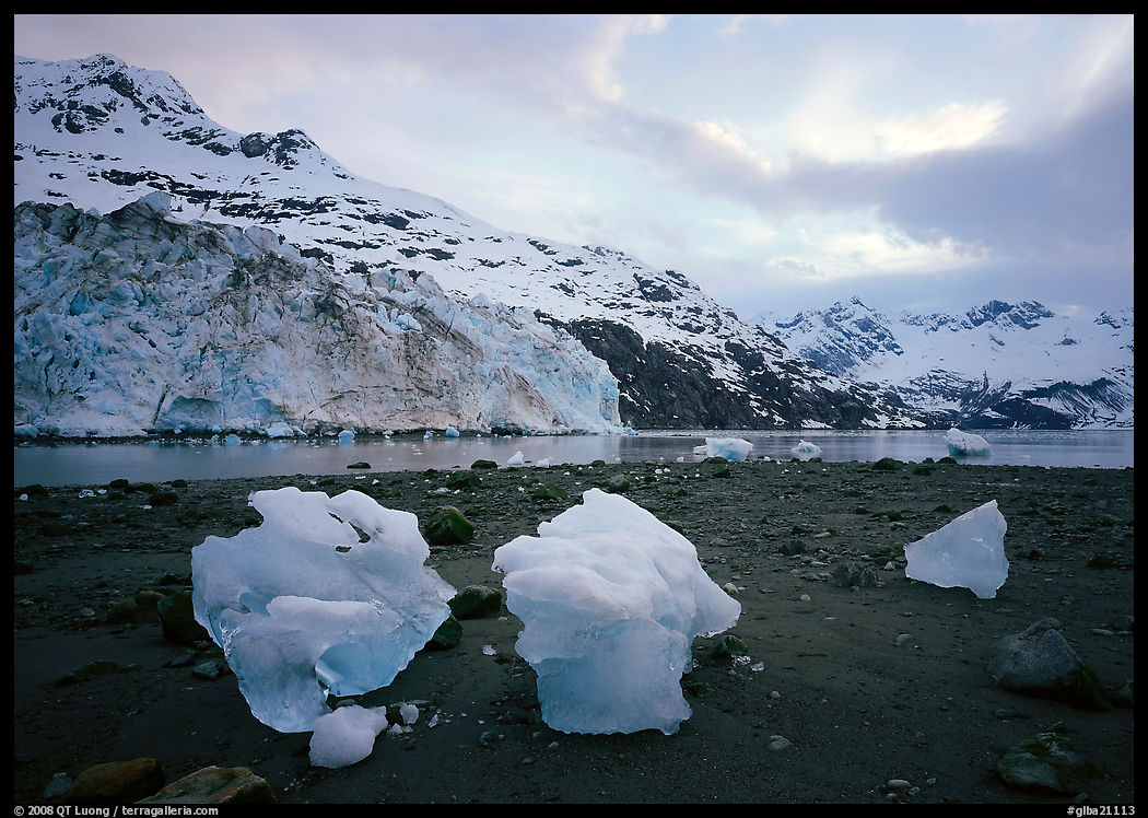 Lamplugh glacier and Mt Cooper. Glacier Bay National Park, Alaska, USA.