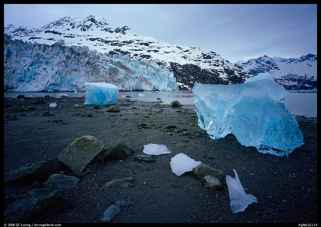 Beach, translucent iceberg, Lamplugh Glacier. Glacier Bay National Park, Alaska, USA.