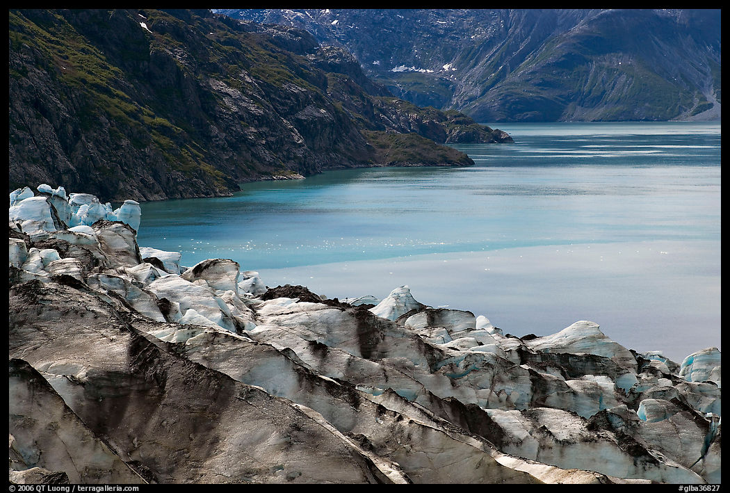 Lamplugh glacier and turquoise bay waters. Glacier Bay National Park, Alaska, USA.