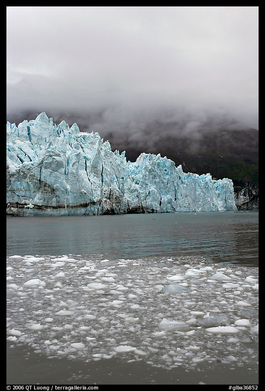 Icebergs, Margerie Glacier, and fog. Glacier Bay National Park, Alaska, USA.