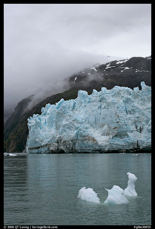 Icerberg at the base of Margerie Glacier. Glacier Bay National Park, Alaska, USA.