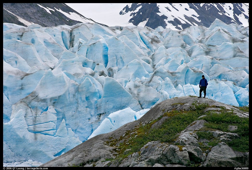 Hiker on a hill below Reid Glacier. Glacier Bay National Park, Alaska, USA.