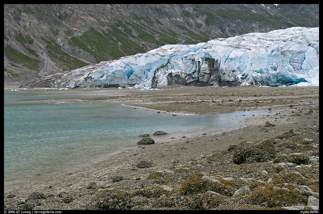 Beach and Reid Glacier. Glacier Bay National Park, Alaska, USA.