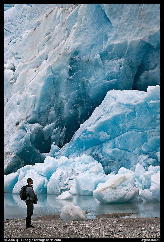 Hiker looking at ice wall at the terminus of Reid Glacier. Glacier Bay National Park, Alaska, USA.