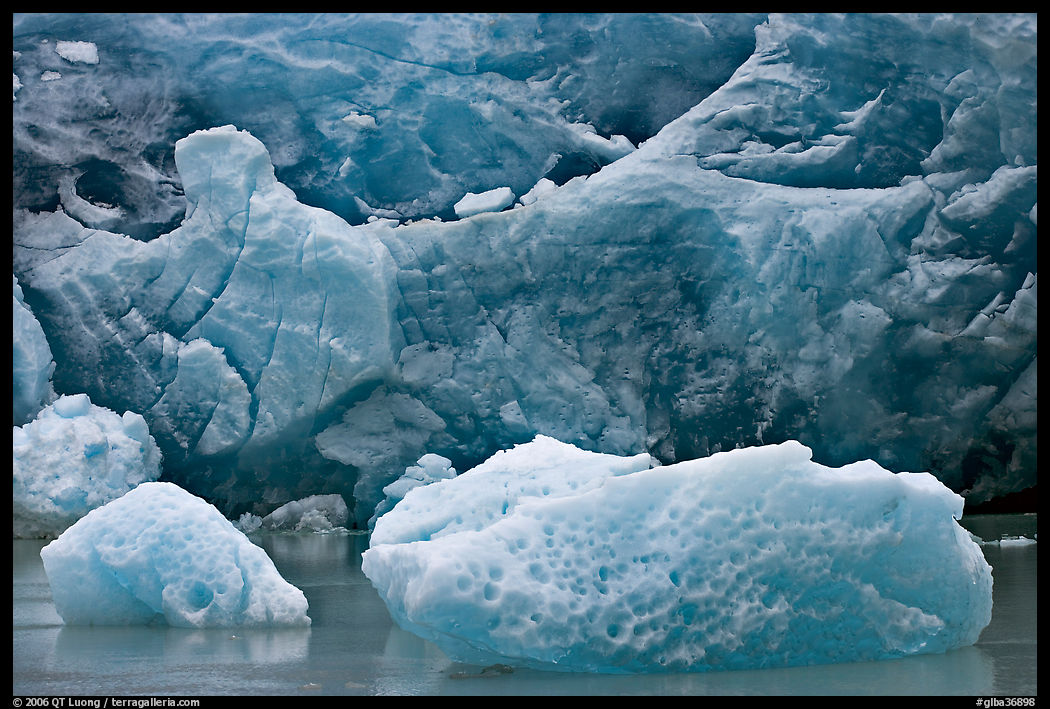 Icebergs and blue ice at the base of Reid Glacier. Glacier Bay National Park, Alaska, USA.