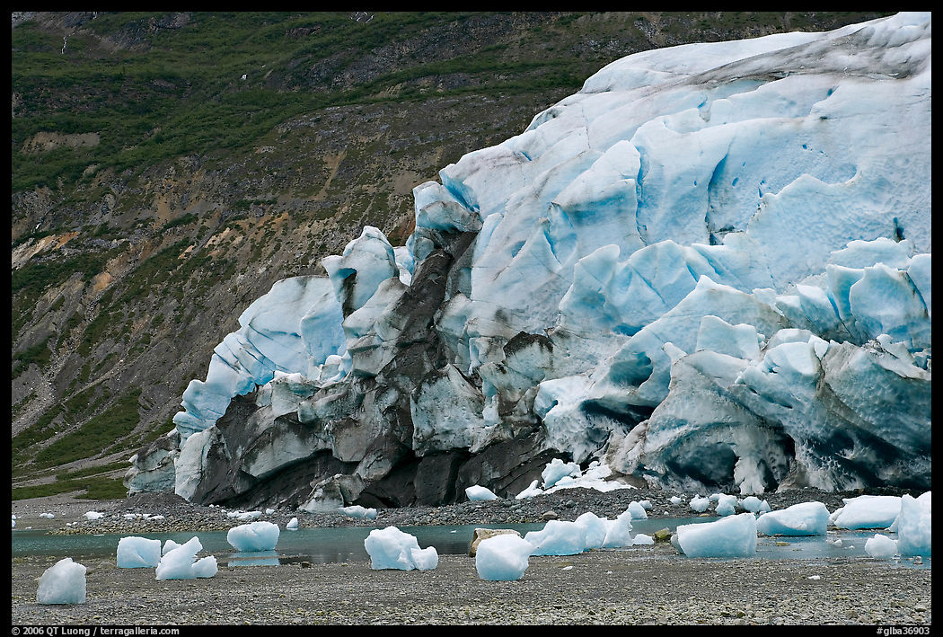 Stranded icebergs on beach and Reid Glacier terminus. Glacier Bay National Park, Alaska, USA.