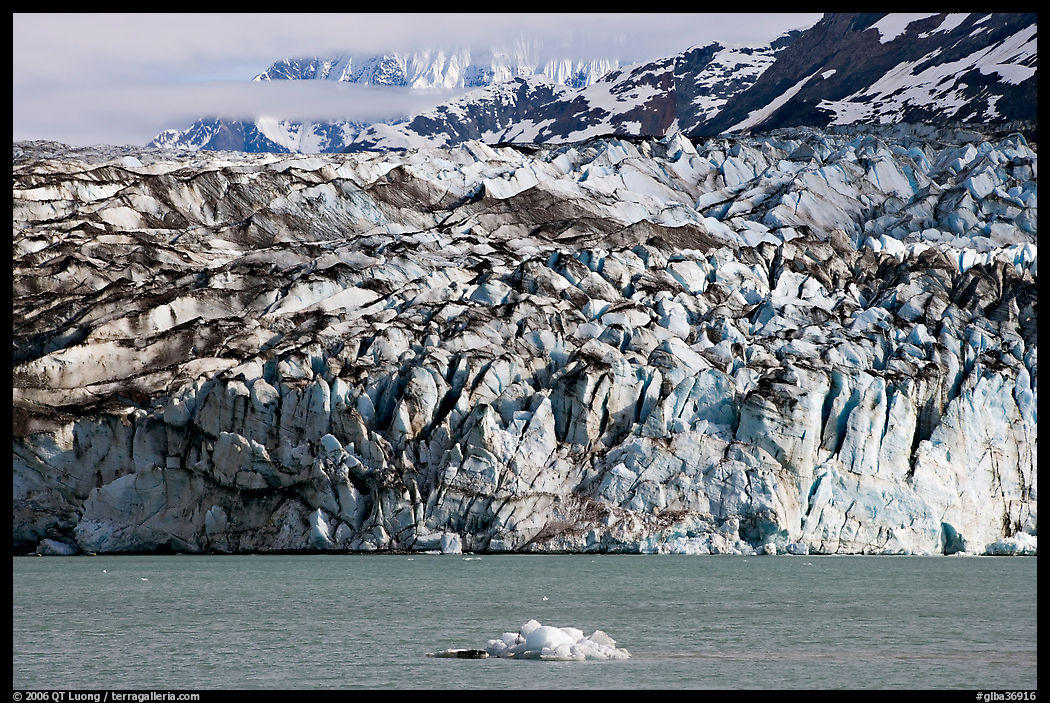 Iceberg and ice face of Lamplugh glacier. Glacier Bay National Park, Alaska, USA.