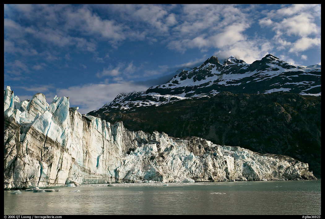 Lamplugh glacier and Mt Cooper, late afternoon. Glacier Bay National Park, Alaska, USA.