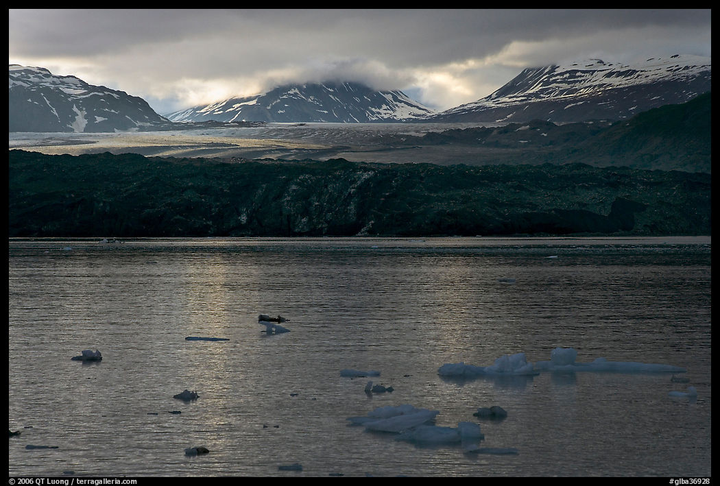 Icebergs and Grand Pacific Glacier under low clouds. Glacier Bay National Park, Alaska, USA.