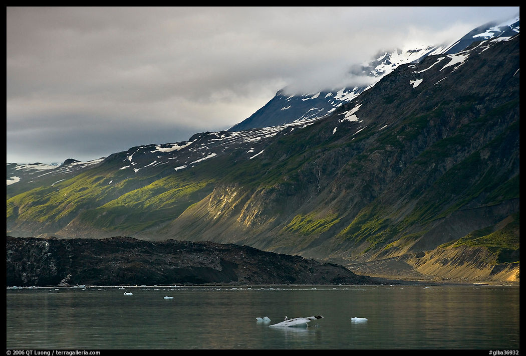 Slopes at the base of Mount Barnard illuminated by a late ray of sun. Glacier Bay National Park